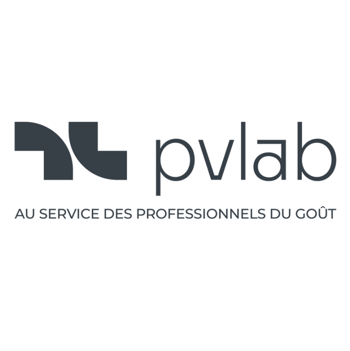Logo PV Lab